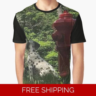 Le Studio Graphic T-Shirt Rush Signals Monument 2020 Back